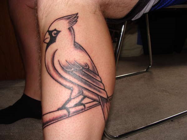 35 Cardinal Tattoo Designs e Ideias 6 