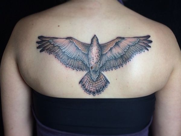 Tatuagem de falcão nas costas para mulher 