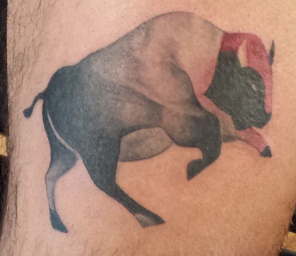 Tatuagem de búfalo no braço 