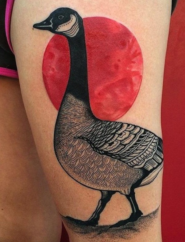 desenho de tatuagem de pássaro (78) 