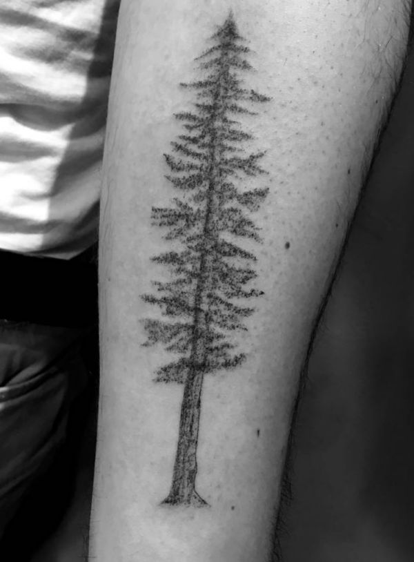 Tatuagem de pinheiro no antebraço 