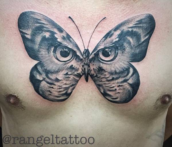 Tatuagem de corujas com borboleta no peito dos homens 