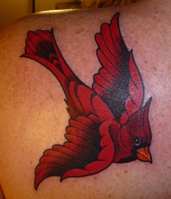 35 Cardinal Tattoo Designs e Idéias 35 
