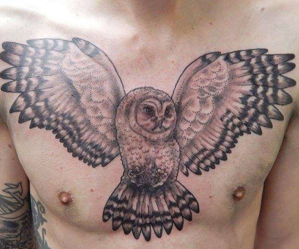 Tatuagem de coruja no peito dos homens Oldschool 