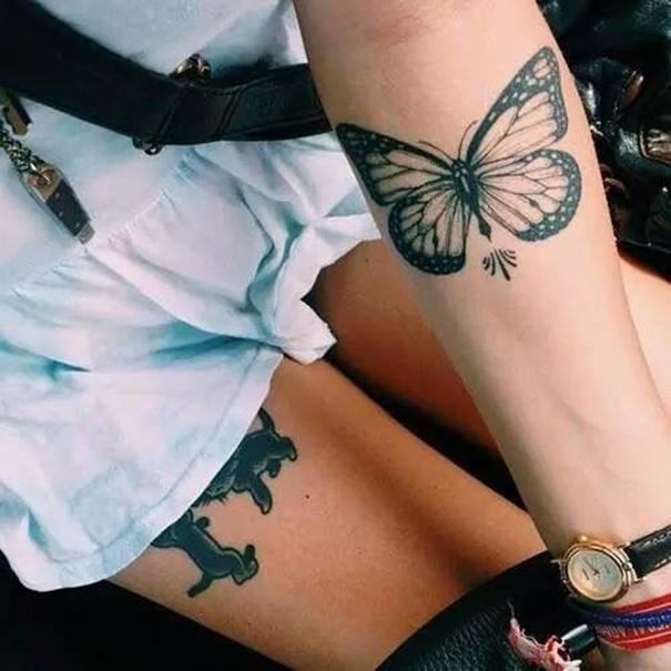 tatuagem de borboleta linda no braço 