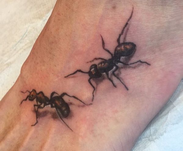Duas formigas no pé 
