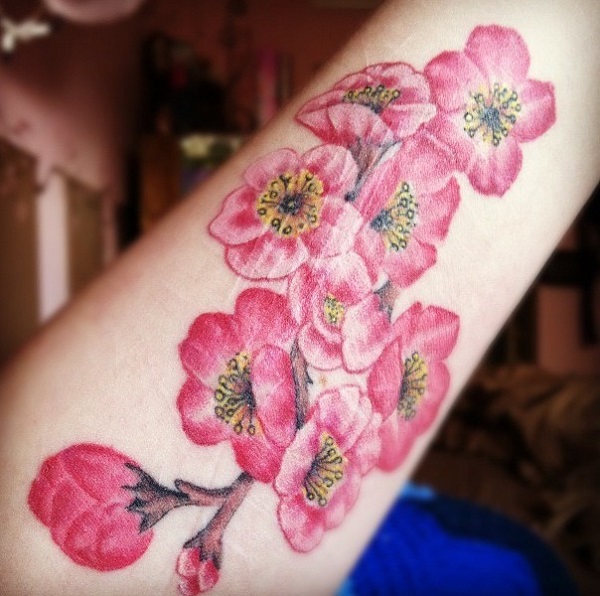 Tatuagens Flor de Cerejeira 51 