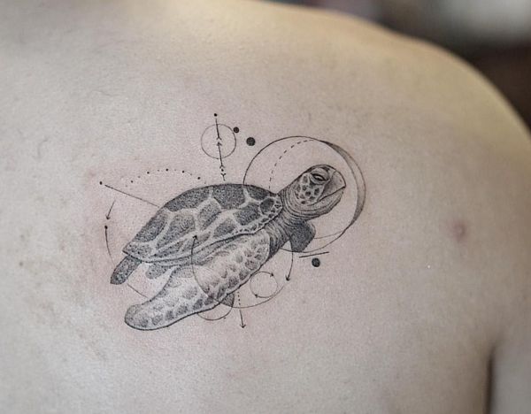 Desenho abstrato de tartarugas nas costas 