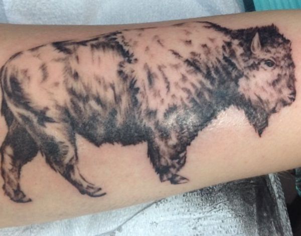 Desenho de tatuagem de bisonte no braço 