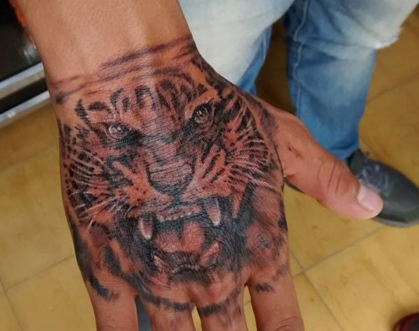 Cabeça de tigre na mão 