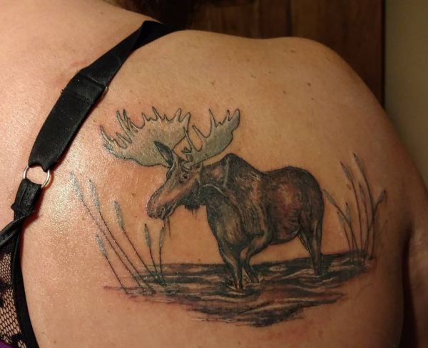 Moose Tattoo na escápula para mulher 