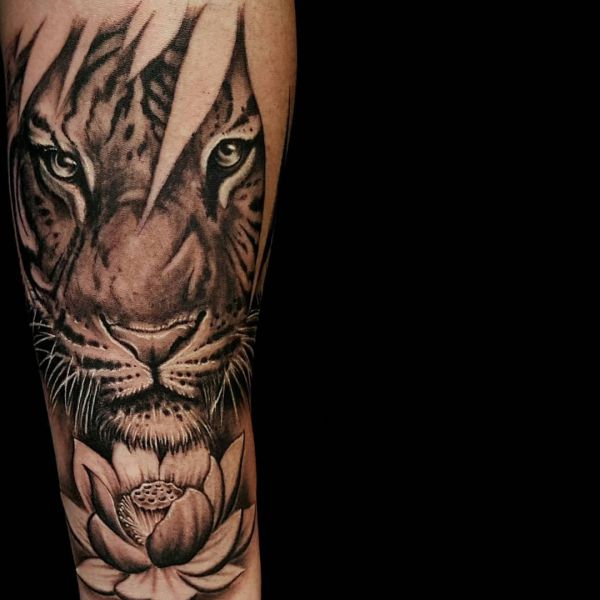 Tattoo do tigre seu significado e 30 grandes ideias do