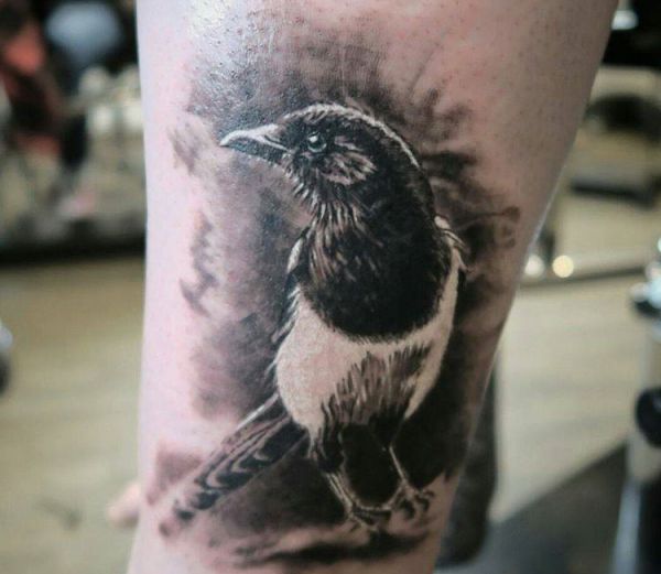 Magpie Realistic tattoo na perna 