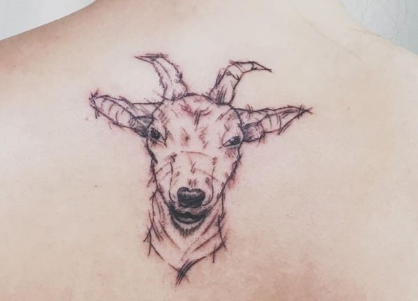 Desenho de tatuagem de cabeça de cabra nas costas 