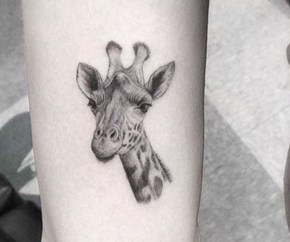 Desenho de tatuagem de cabeça de girafa no antebraço 