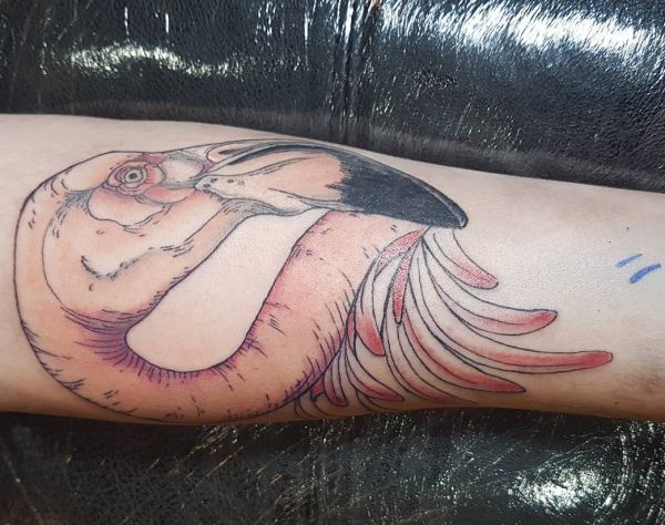Tatuagem de flamingo no braço 