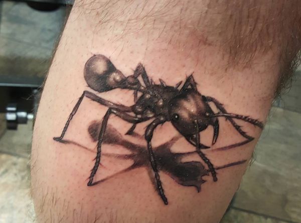 Formigas realistas no braço 