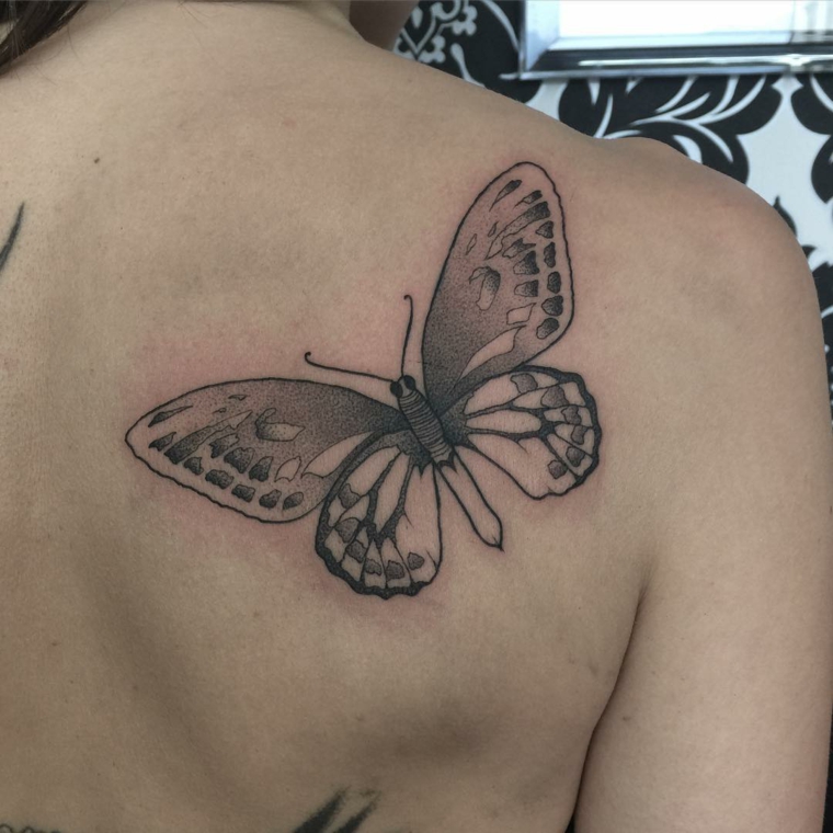 Tatuagens de borboletas-back-design 