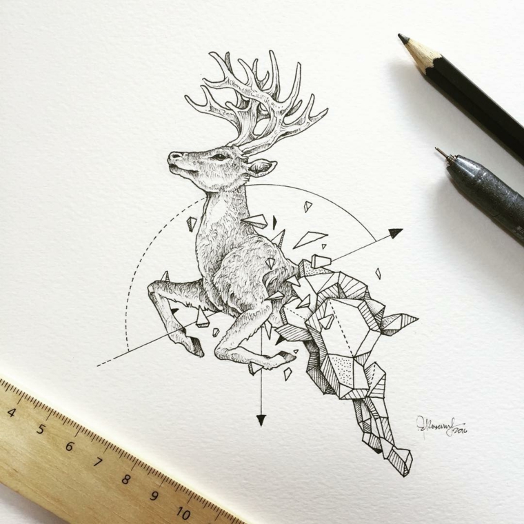 desenho agradável tatu deer 