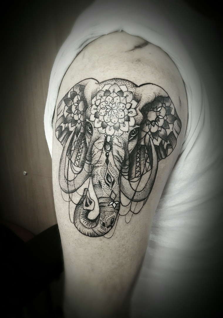 rebanho-tatuagem-design-elefante 