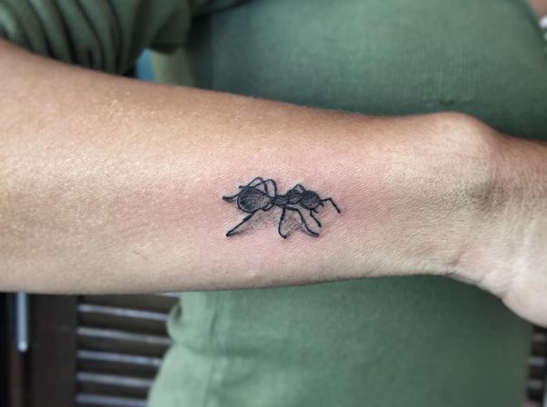 Tatuagem de formigas no lado do antebraço 