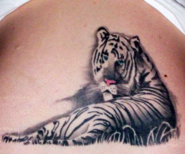 Desenhos de tatuagem de tigre branco e idéias 7 