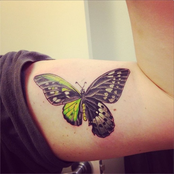 Tatuagem de borboleta bonito designs59 