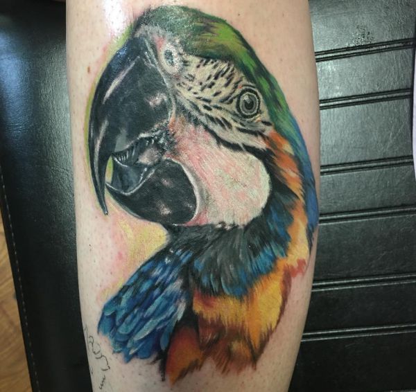 Tatuagem de papagaio na perna 
