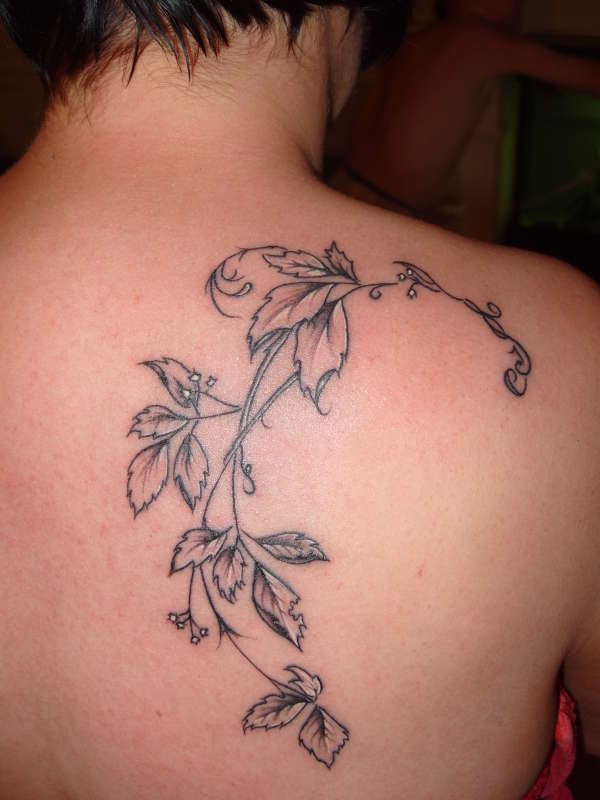 tatuagem de folhas design0261 