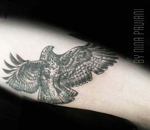 Hawk tatuagem desenho no antebraço dentro 