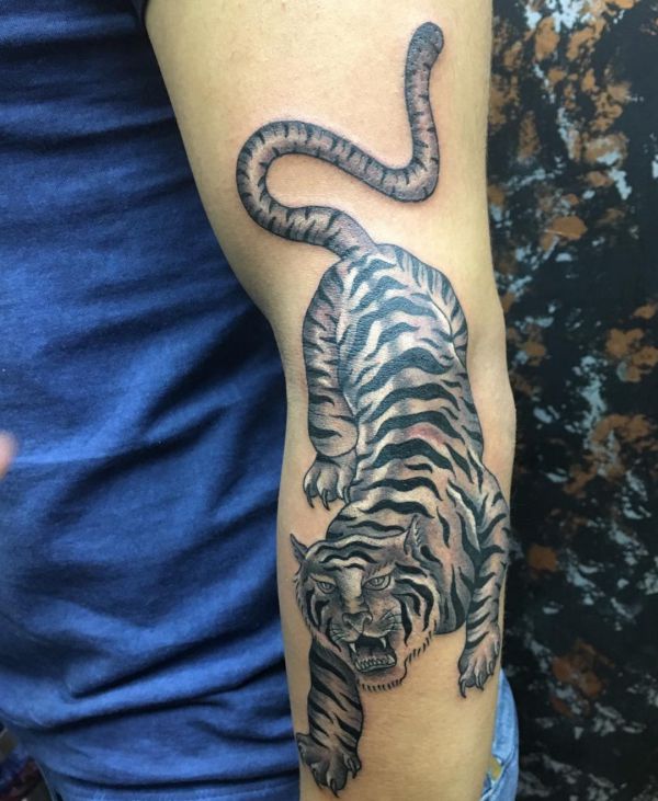 Design de tigre de Bengala branco no braço 