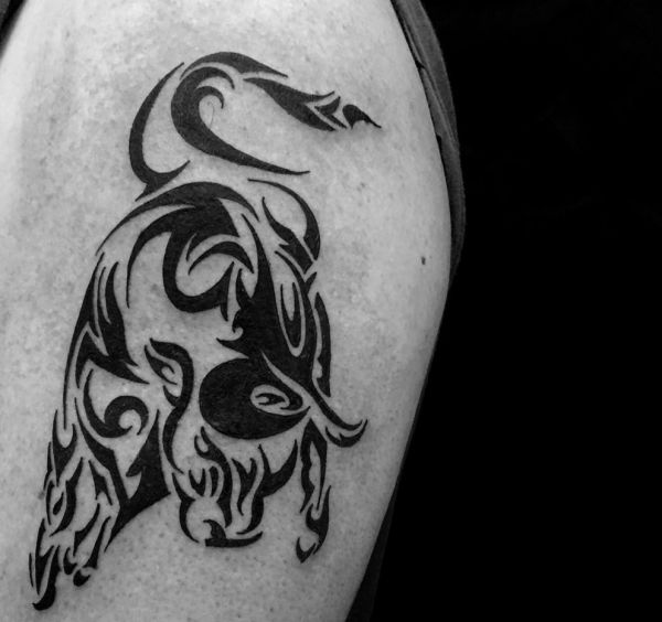 Tatuagem tribal de touro no braço 