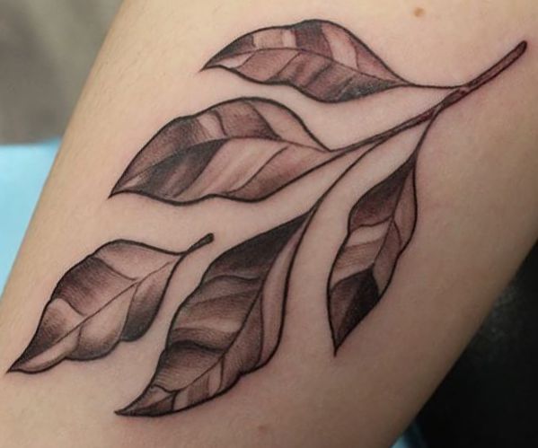 Folhas desenho de tatuagem 