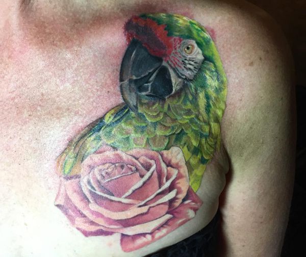 Tatuagem de papagaio com rosa sobre a mulher de peito 
