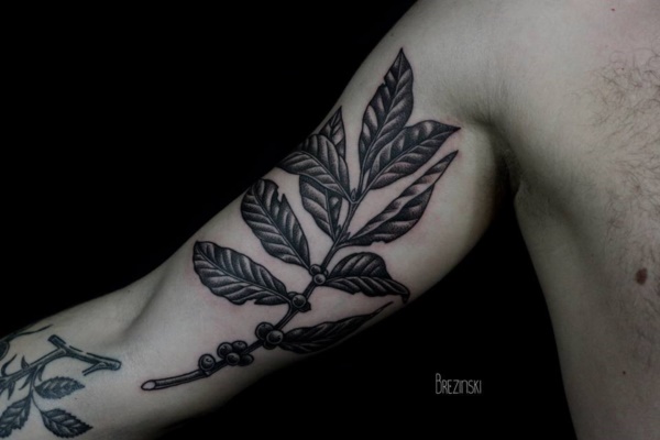 tatuagem de folhas design0441 