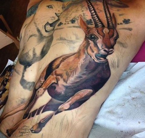 Tatuagem Gazelle Lion design nas costas 