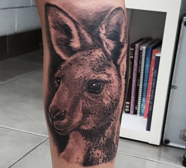 Desenho de canguru realista de tatuagem na perna 