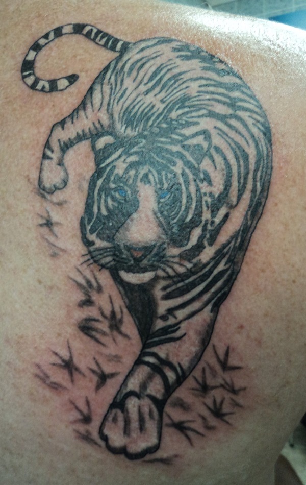 Desenhos de tatuagem de tigre branco e idéias 25 