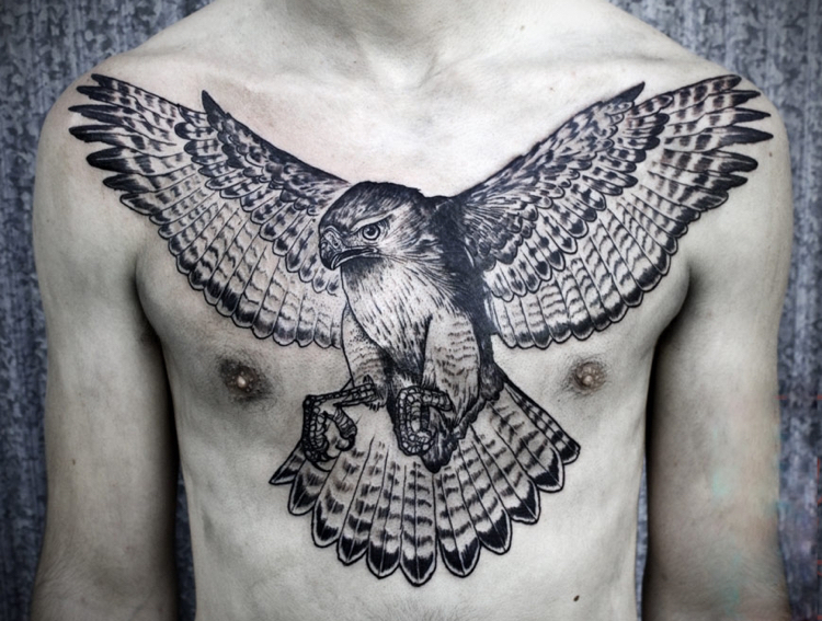 asas de falcão espalhar sobre o peito 