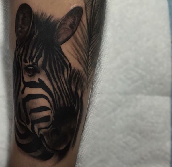Zebra Design Realistic em seus braços 