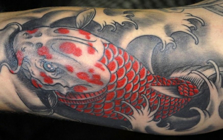 significado de tatuagens de peixes Koi 