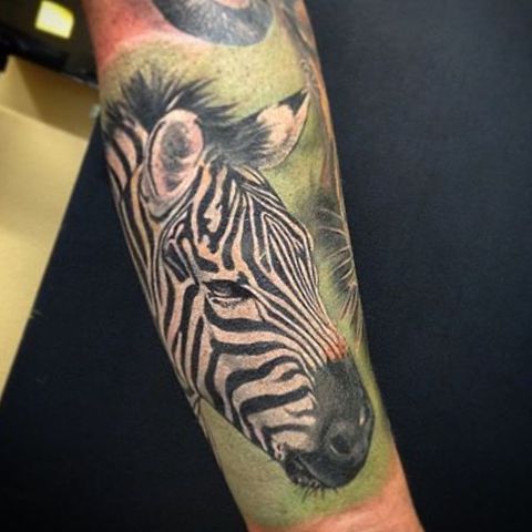 Projeto realista de zebra no braço 