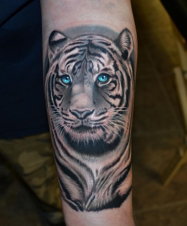 Tigre Branco Tattoo Designs e Ideias 1 