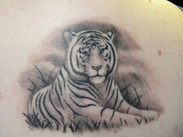 Desenhos de tatuagem de tigre branco e idéias 9 
