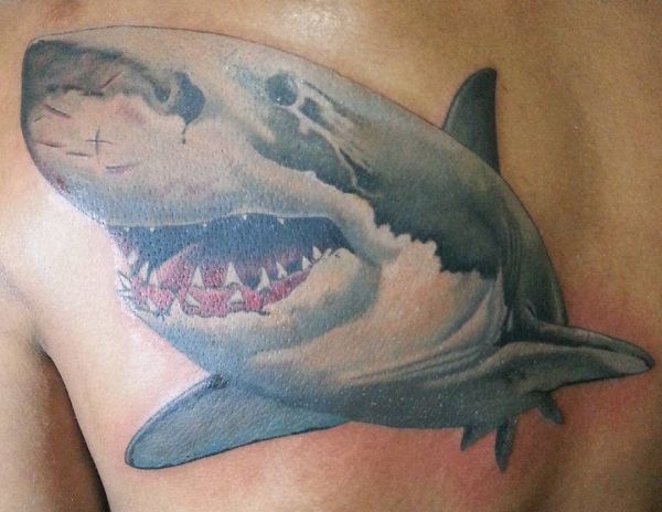 Tatuagem de tubarão realista nas costas 