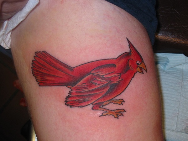 35 Cardinal Tattoo Designs e Ideias 15 