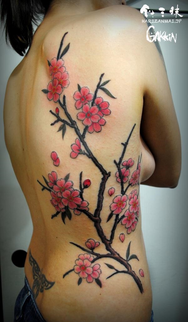 Desenhos e significados do Tattoo da árvore da flor de cereja 1 