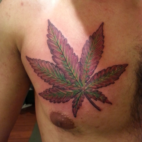 tatuagem de folhas design0251 