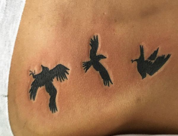 Três páginas de tatuagem de corvo 