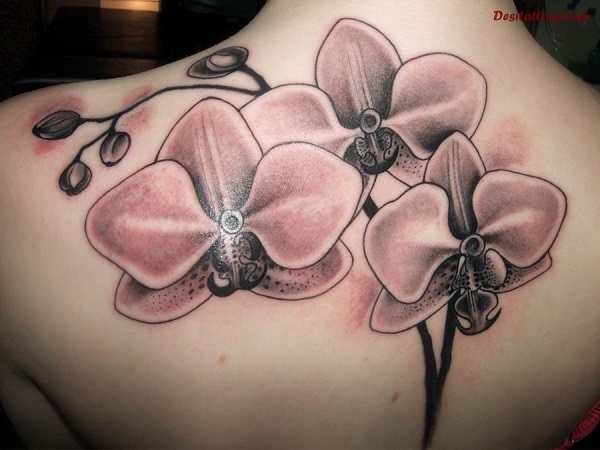 Tatuagem de orquídea 24 